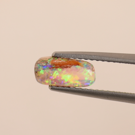 Jardin | Wood Opal Fossil