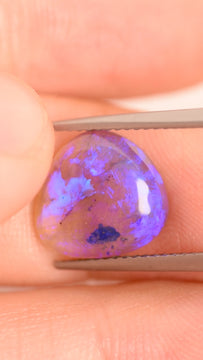 Purple Candy | Dark Opal