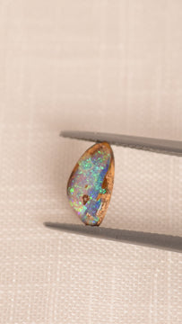 Starry Sky | Wood Opal Fossil