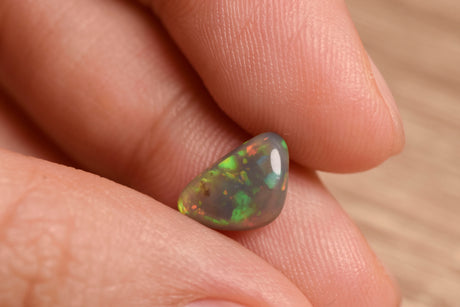 Autumn Forest | Semi Black Opal